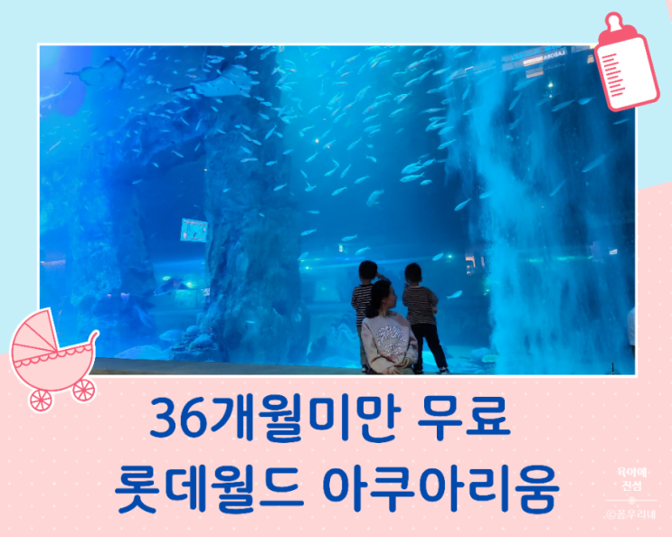  36개월 미만 무료 잠실 롯데월드 아쿠아리움 비가 와도 추워도 좋아요~