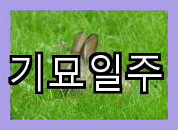 기묘일주 선택의 한계와 가치 부여