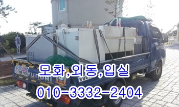 외동 모화용달 제주도 입실 울릉도 양북 감포 양남. 외동 모화용달 제주도 입실 울릉도 양북 감포 양남.