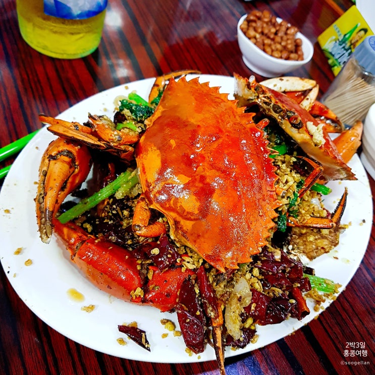  홍콩 맛집 템플스트리트 야시장 Temple Spice Crabs 스파이시크랩 후기