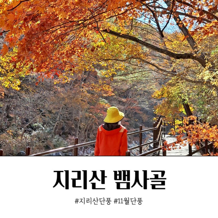  지리산 뱀사골 11월 단풍 구경 조금 늦었다.