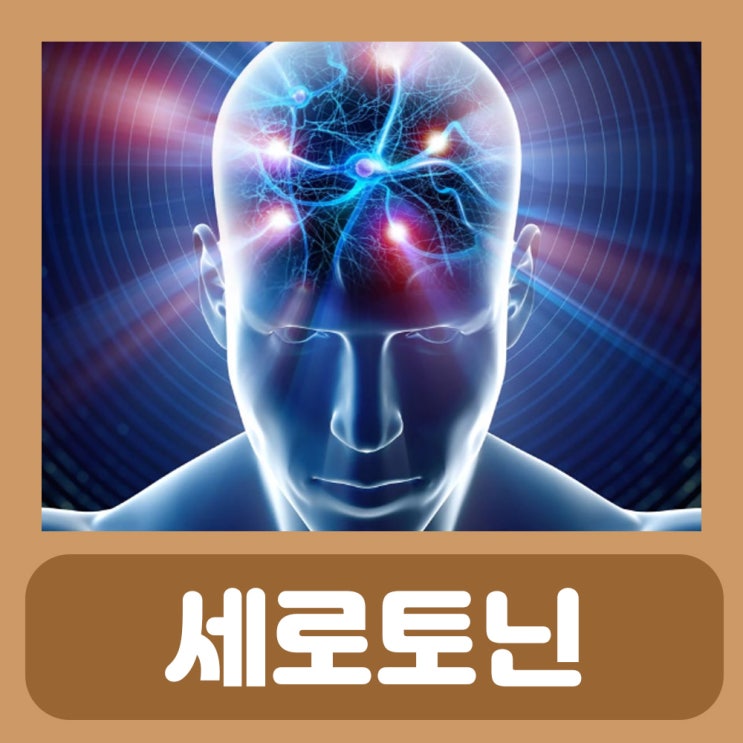 세로토닌 뜻 과다 분비 증후군 음식