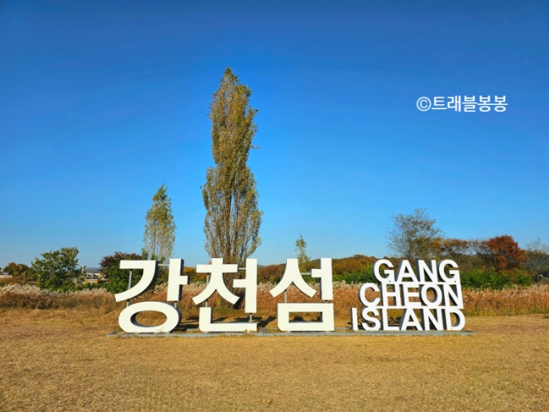 [여주] 강천섬 유원지 은행나무 길 단풍 주차장 여주 놀거리 경기도 가을여행 : 네이버 블로그