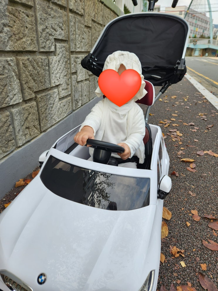  파파야나인 BMW 푸쉬카 돌아기 2달 사용 후기