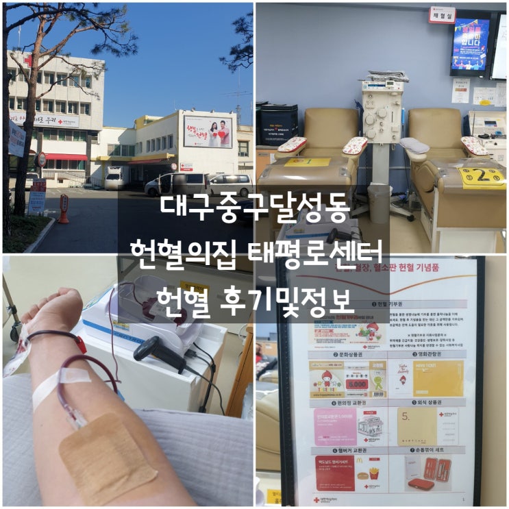 대구 중구 달성동 '헌혈의집 태평로센터' # 헌혈 후기 방법 나이 조건 시간 주기 사은품