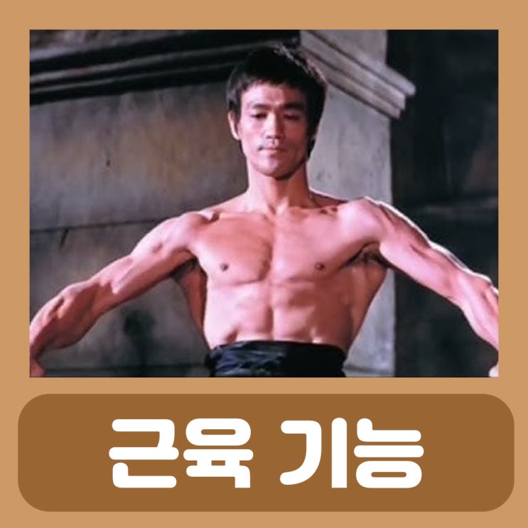  활배근 광배근 소원근 대원근 통증