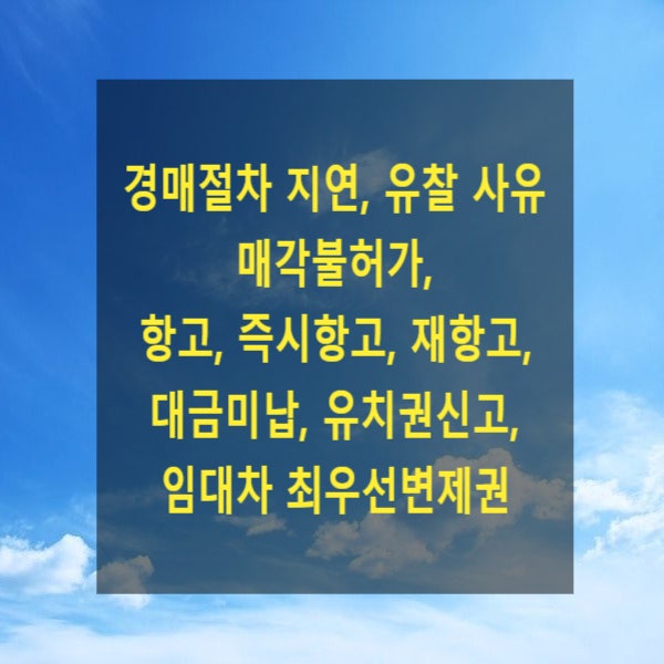 부동산 경매절차가 지연되는 사유들(매각불허가, 항고, 즉시항고, 재항고, 대금미납, 최우선순위 임차인 배당요구, 공유자 우선매수)