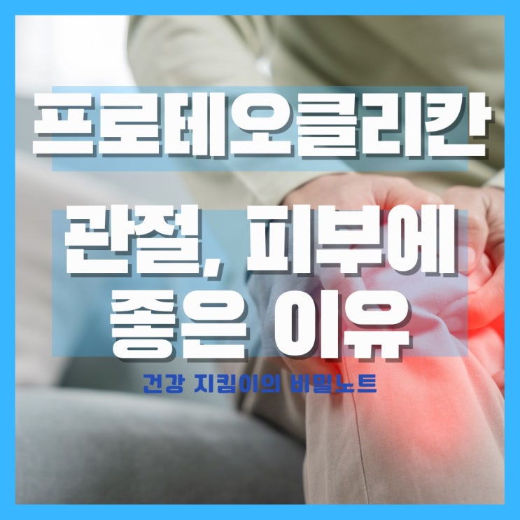  프로테오클리칸 효능, 관절 피부에 좋은 이유