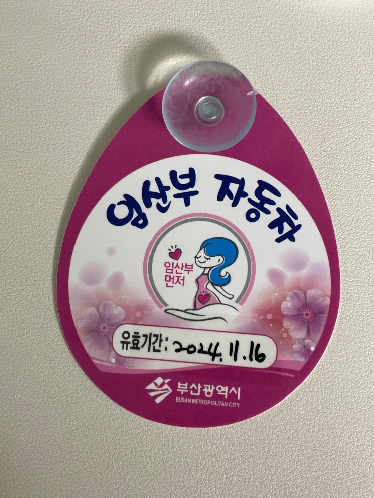  수영구 보건소 임산부 등록 : 임신 초기 검사, 엽산, 철분제 지원 등 부산 임산부 혜택 정리
