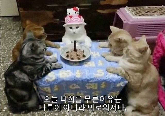  230515~21 먹고 살기