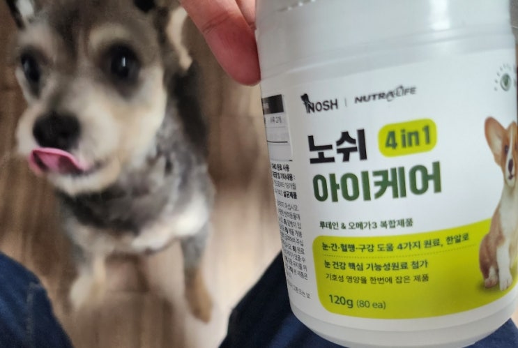  강아지눈영양제 노쉬 아이케어
