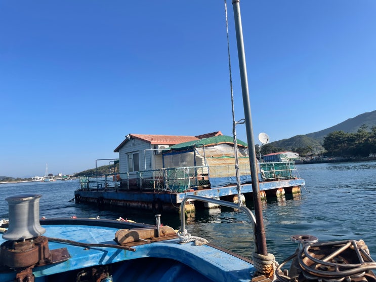  거제 학산바다해상펜션 추천 통영 근처 거제도 해상콘도 후기