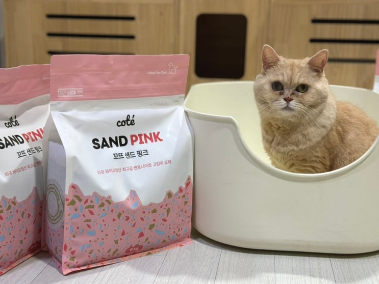  고양이 벤토나이트 모래 추천 꼬뜨 샌드 핑크