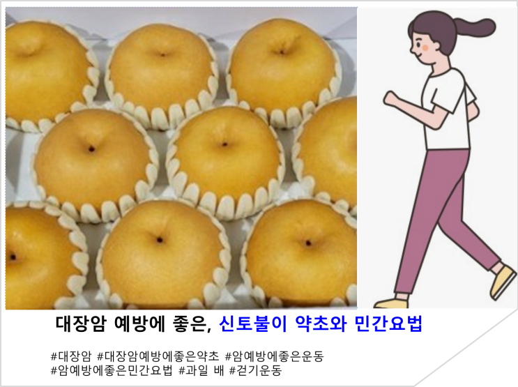  대장암 예방에 좋은, 신토불이 약초와 민간요법