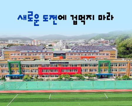 특성화고 2023학년도 강구정보고등학교 학교정보