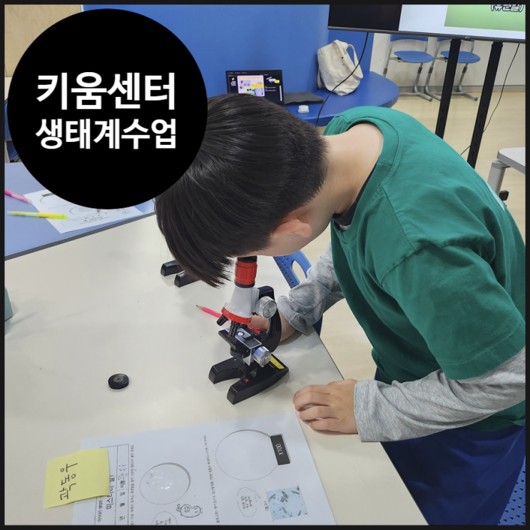  [청담 다함께 키움센터] 미스터리한 생태계 수업 | 오해피데이지 | 스토리텔링과학| 스팀과학 | 서울시 키움센터