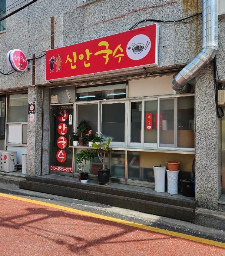  진주 맛집 신안국수 국수맛집 잔치국수 점심추천 내돈내산 솔직후기