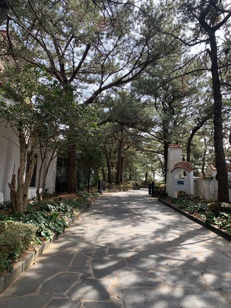  cozy한 날들 . 허니문하우스 in 제주
