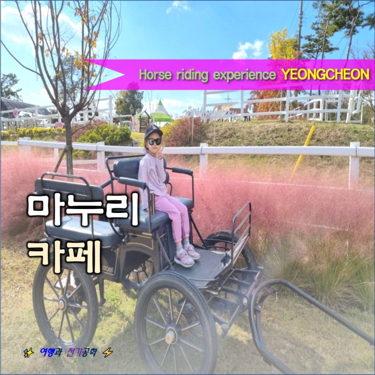  마누리 카페 딸기 스무디 맛집 :) 영천 말문화체험관 핑크뮬리 말타기 승마