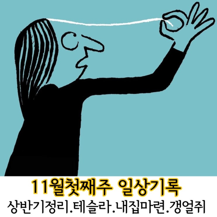  11월첫째주 일상기록/근황정리.테슬라계약.내집마련.갱얼쥐