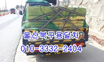  울산북구용달 제주도 입실 외동 불국사 모화 울릉도 정자 산하동.