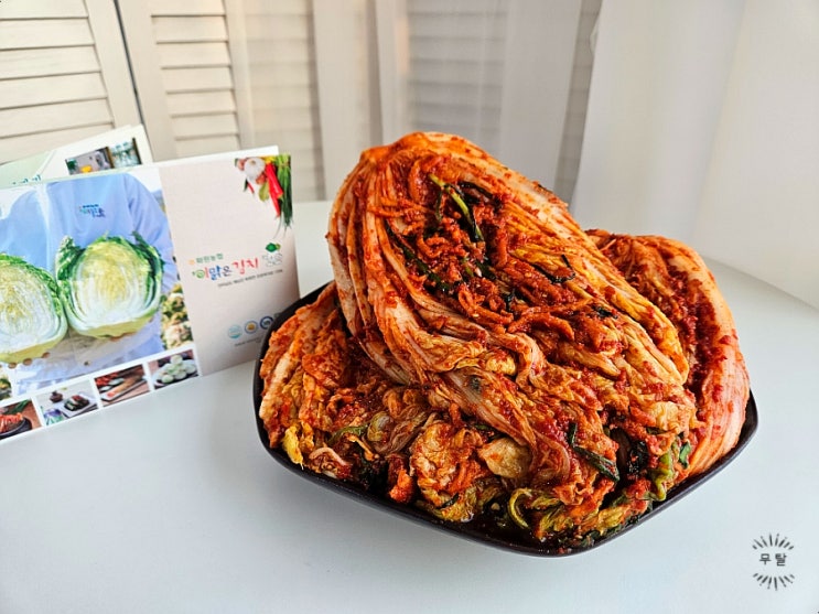 해남 절임배추 김장김치양념 김장준비 화원농협김치가공공장 김장밀키트 솔직 후기