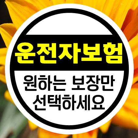  운전자보험비교, 필요한 보장내용만 선택할 수 있는 운전자보험비교사이트 추천 드려요.
