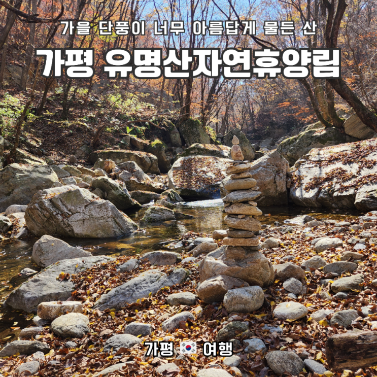 가평 유명산 단풍산행  여행(feat. 유명산 자연휴양림 서울에서 가는 법, 입장료)