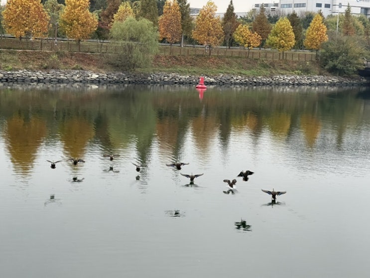 <b>충청</b>·남부 최대 50 요란한 가을비, 수도권 <b>오전</b> 미세먼지... 