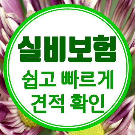  인터넷실비보험 비교, 간편하게 온라인실비보험 추천 상품 알아보고 가입하세요.