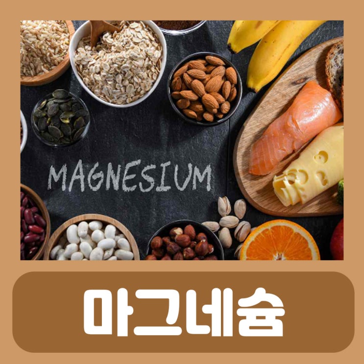  눈밑떨림 원인 마그네슘 결핍 영양제