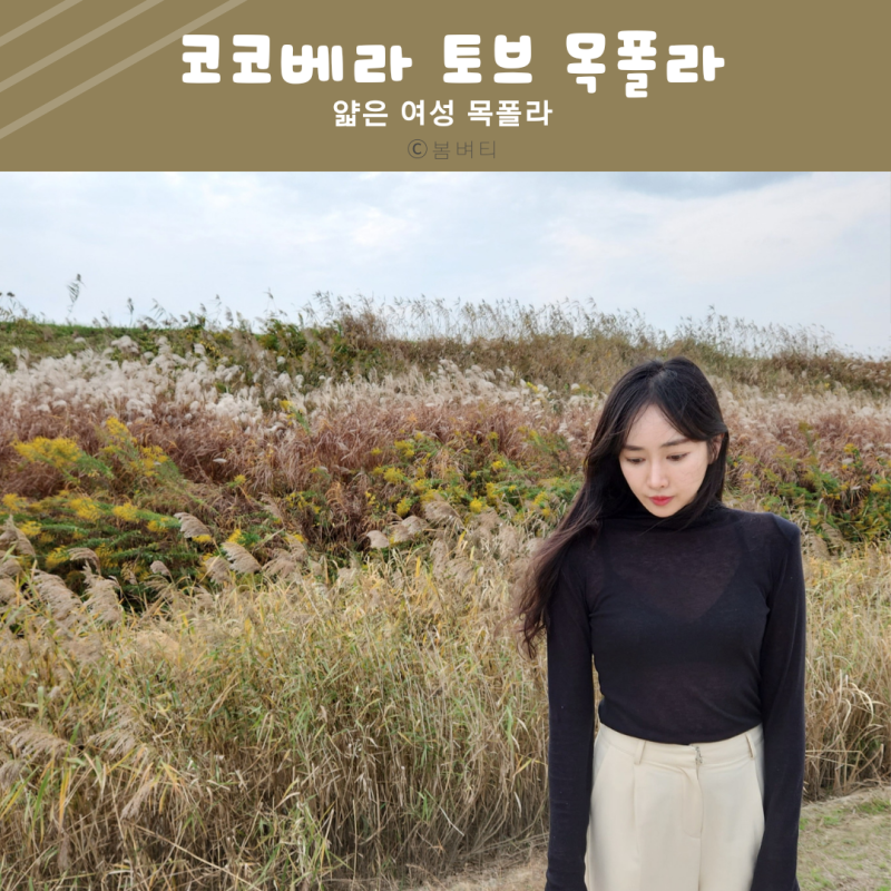 얇은목폴라 여성스러운 핏을 살린 코코베라 여성목티