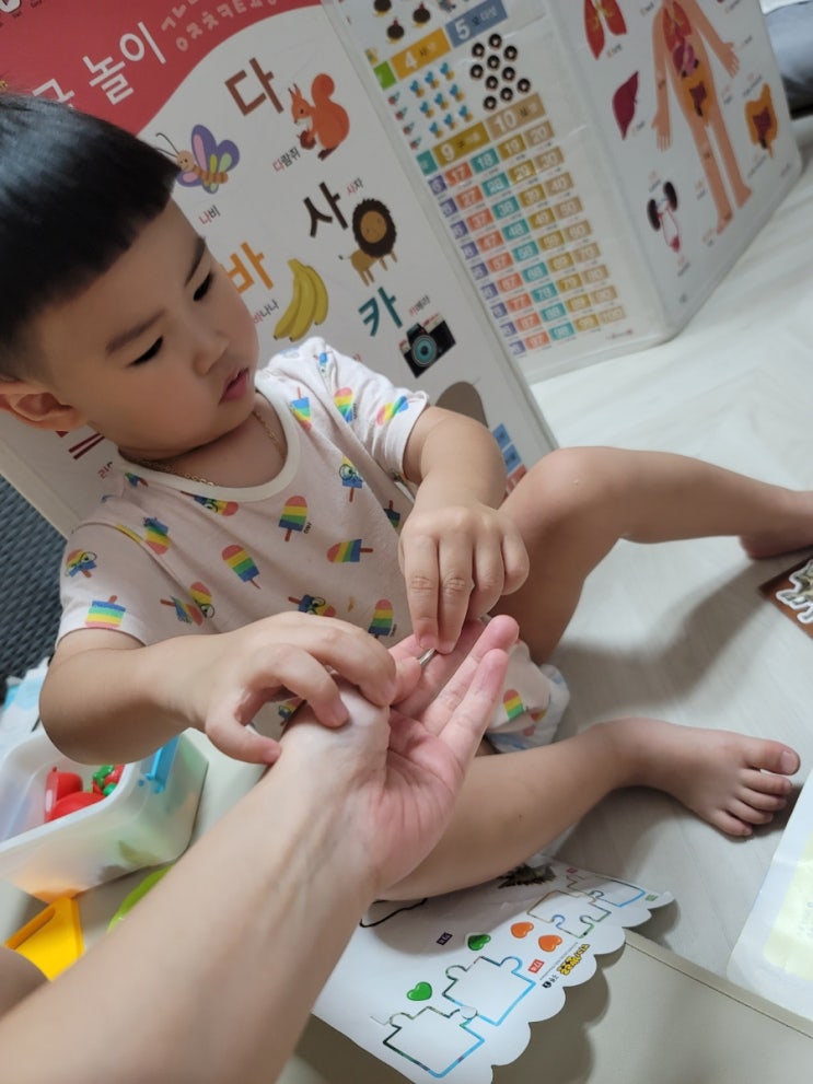  아빠의 육아블로그) 아빠 육아일기 .<29개월아가 언어, 신체, 정서 발달>