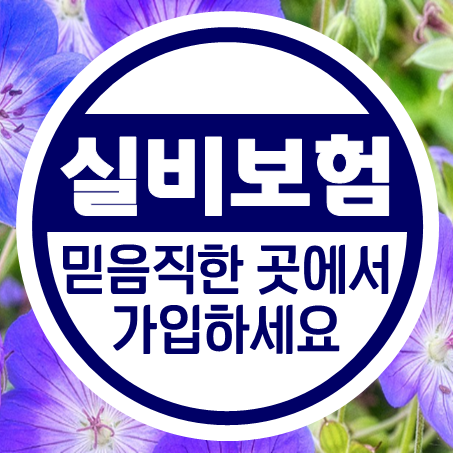  오랫동안 운영중인 믿음직한 의료실비보험비교사이트 추천 드려요.