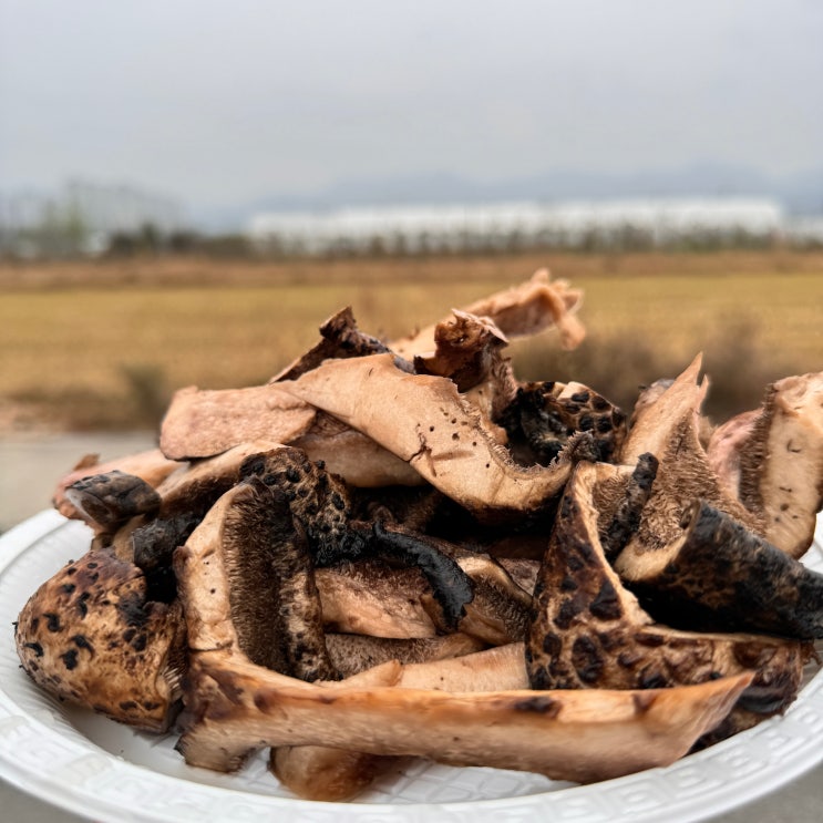  괴산 청천버섯 능이버섯/ 고은삼거리 삼겹살 맛집 고은정육점