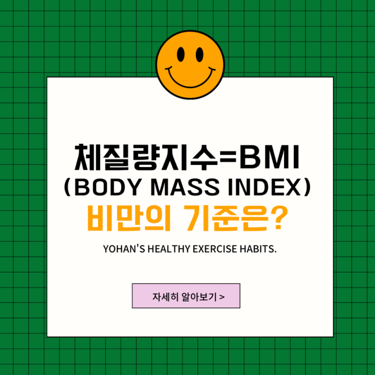  체질량지수 BMI 구하는 법, 계산 공식, 비만 기준