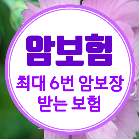  비갱신암보험추천, 원발암 전이암 구분없이 최대 6번 보장받는 비갱신형암보험추천 받으세요.