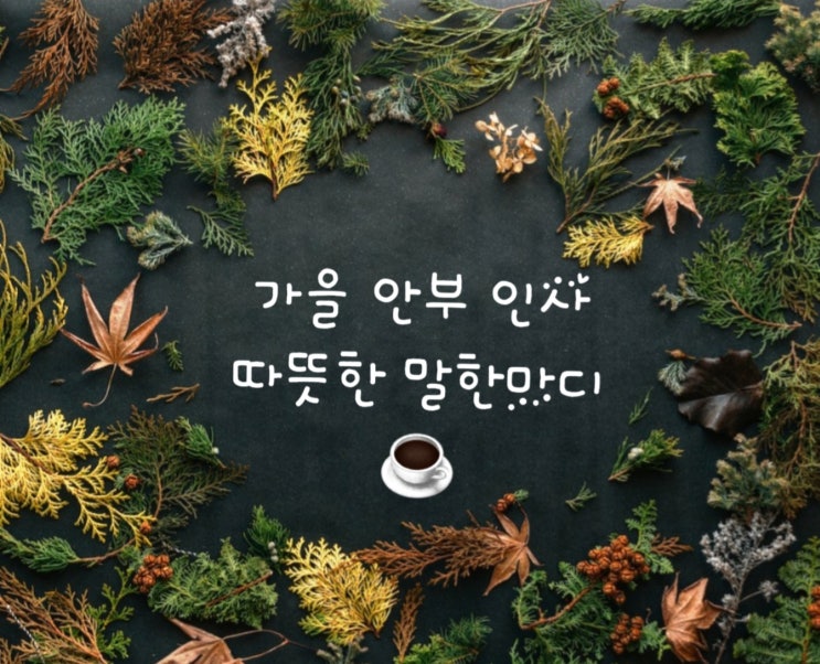  11월 늦가을 안부 인사 메시지    응원 문자 문구 사진 모음