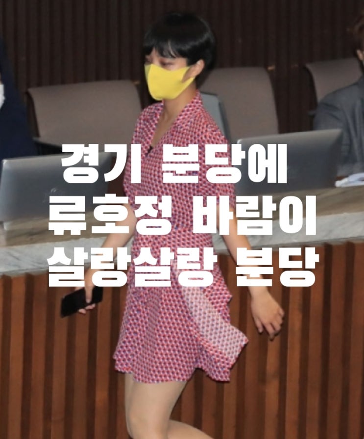 심장 겨눈 삼대女 <b>류호정</b>...경기 <b>분당갑</b>에 살랑살랑 柳風 <b>분당</b>