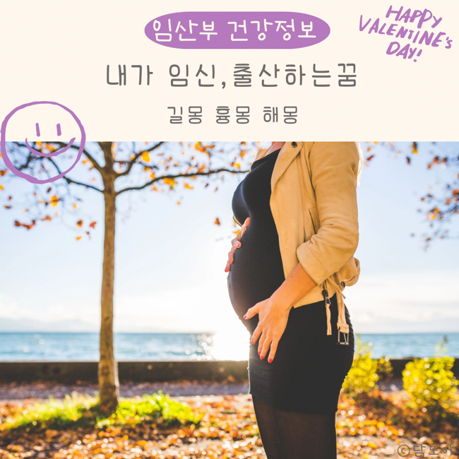 내가 임신하는 꿈 지인 아기 낳는 꿈 해몽 꿈 풀이