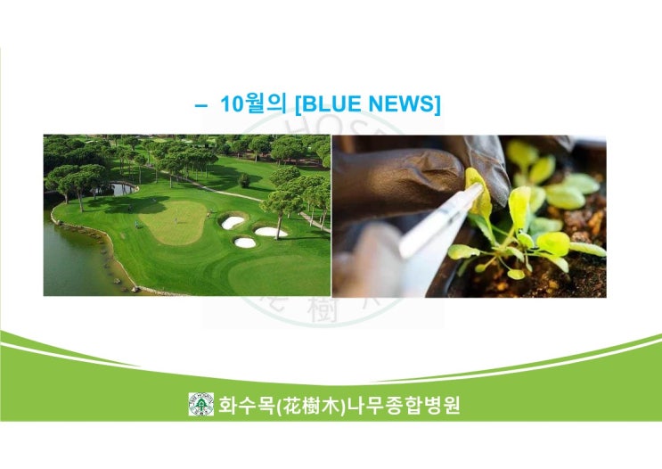  2023년 10월의 Blue News 모음