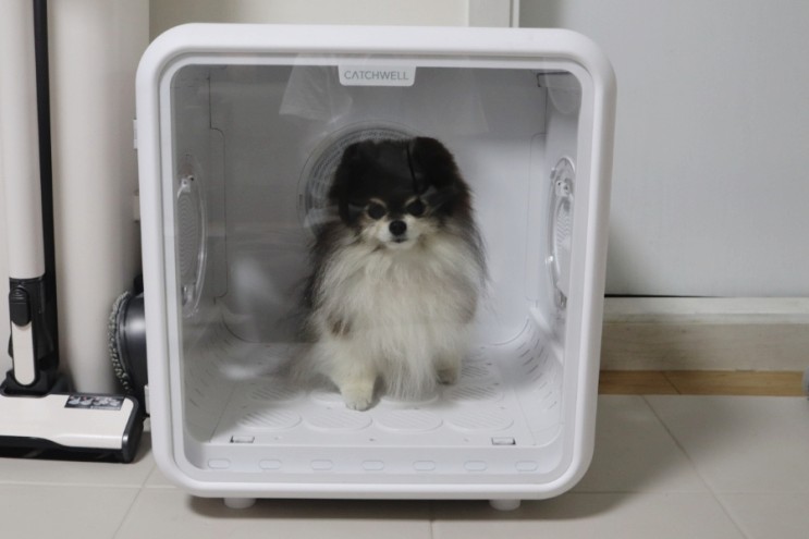 애견용품 살균 강아지 고양이 목욕 캐치웰 펫드라이룸