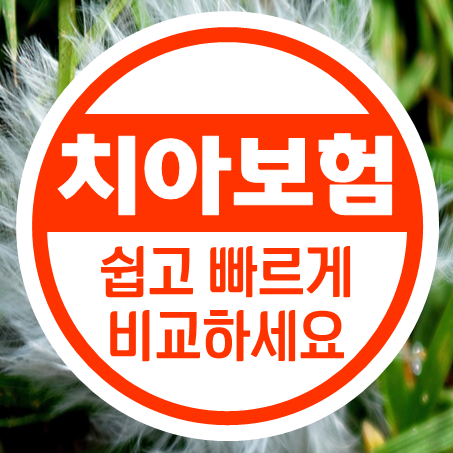  치아보험가격 얼마일까? 추천 회사들의 치아보험료 비교 후 가입을 결정할 수 있어요.
