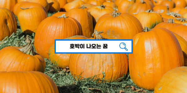  [무료꿈해몽] 호박 꿈해몽 늙은호박 꿈풀이