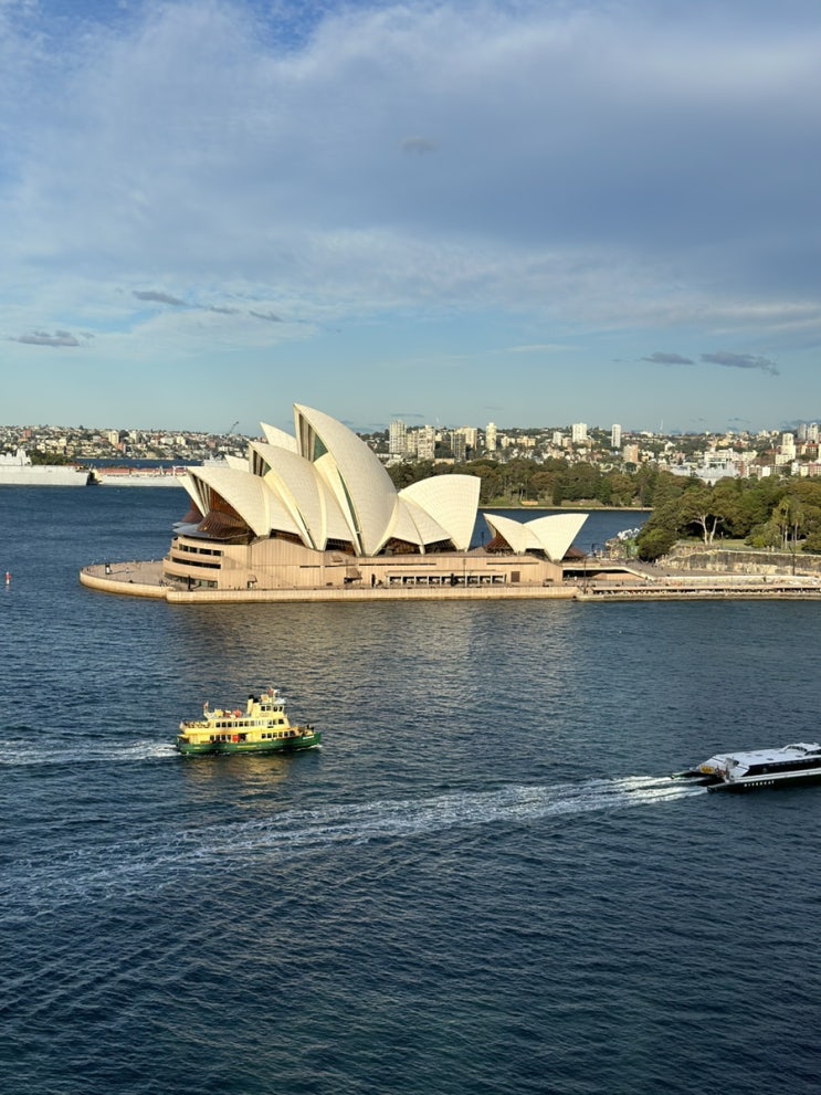 호주 시드니 자유여행 워킹 코스 추천: 하버브릿지, 밀슨스포인트, 페리