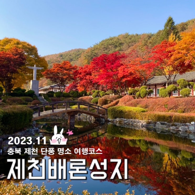  제천가볼만한곳 단풍 가을여행지추천 배론성지 사진스팟 인생사진