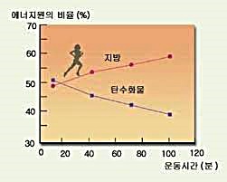  인체 지질 주요 기능 신체 구조 대사 에너지원