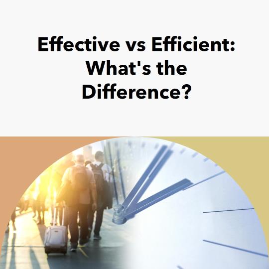 effectively 와 efficiently 의 차이