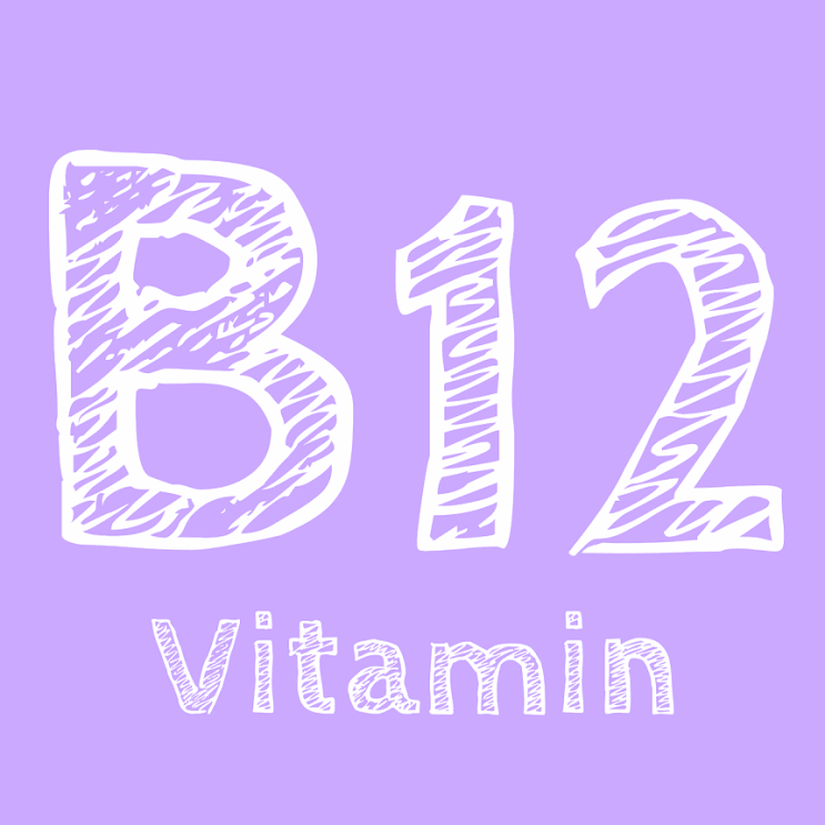  비타민 B12와 종합비타민