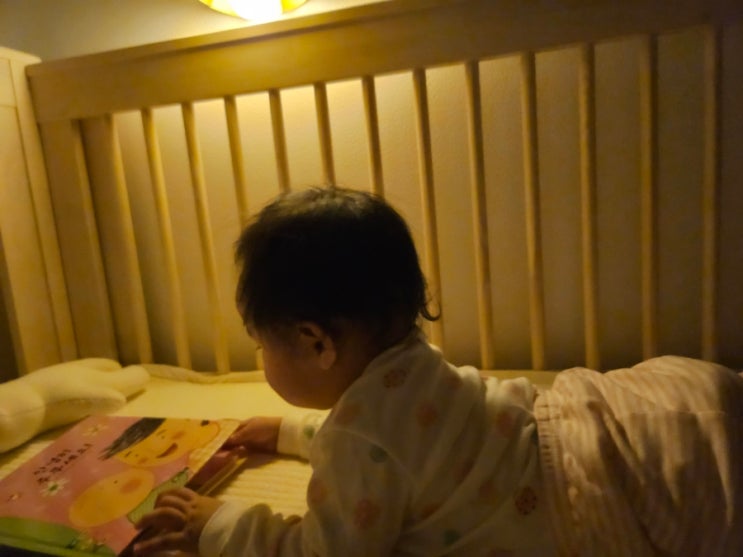 8개월 아기 잠자리 독서 기록, 잠자리 그림책 추천